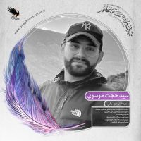 سید حجت موسوی